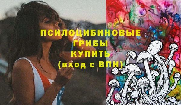 а пвп мука Дмитриев