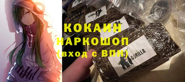 гидра Дмитров