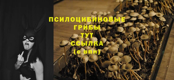 гидра Дмитров