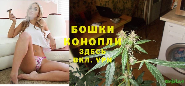 гидра Дмитров