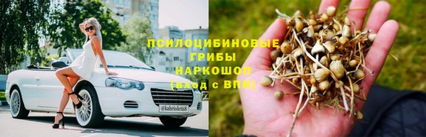 а пвп мука Дмитриев